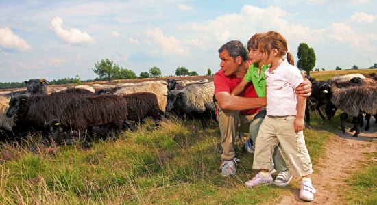 Kleine Entdecker, © Lüneburger Heide GmbH 