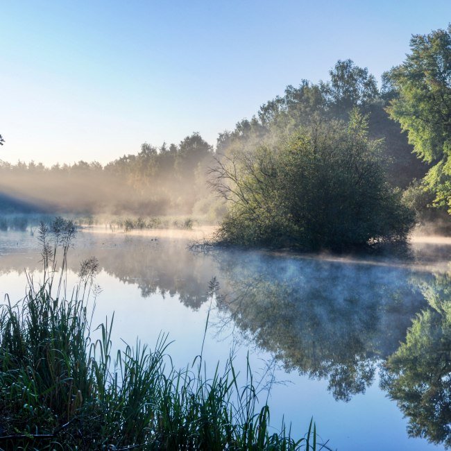 Ahlhorner Fischteiche, © Naturpark Wildeshauser Geest/Hans-Jürgen Zietz