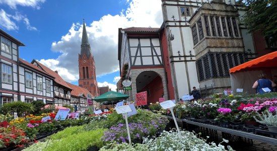 Wochenmarkt Nienburg, © Mittelweser-Touristik GmbH