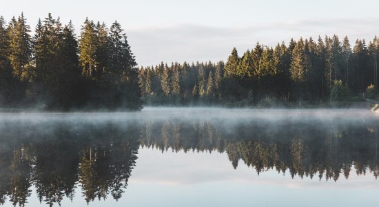 Harz, © TMN/ Benedict Braun