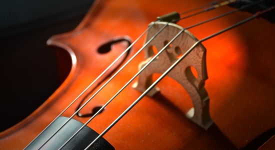 Cello Detailaufnahme, © Pixabay