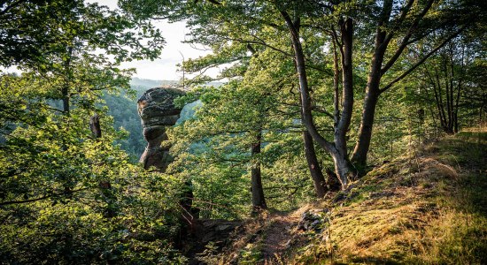 Blick zum Gänseschnabel , © Tourismusverband Südharz Kyffhäuser, Christian Schelauske