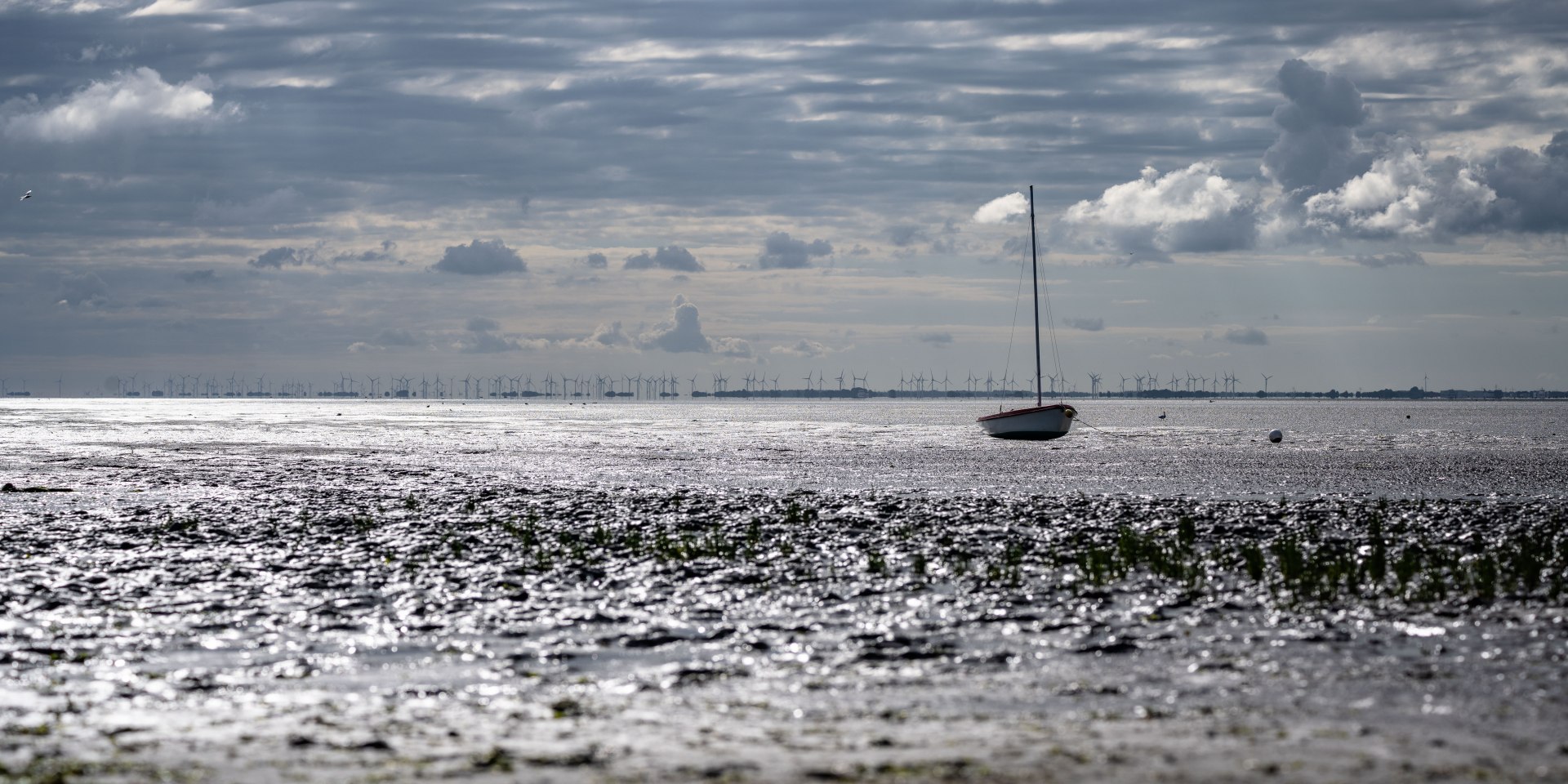 Wattenmeer vor Juist, © Lars Wehrmann 