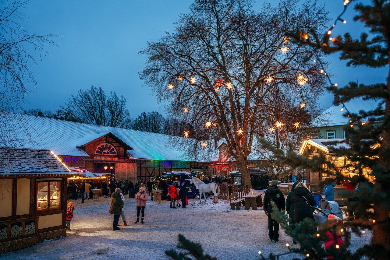 Adventsmarkt im Gestüt, © HarzVenture, Nordtstadtlicht