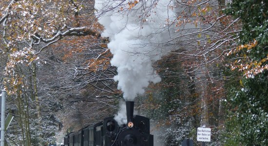 Museumseisenbahn im Winter, © Frank Rindfleisch