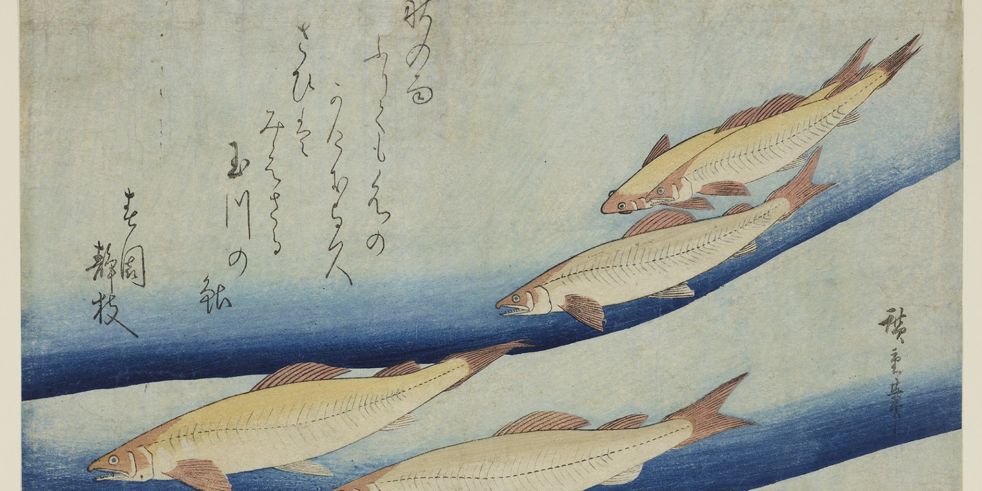 Utagawa Hiroshige, Flußforellen, um 1830, HAUM, Kupferstichkabinett , © Herzog Anton Ulrich-Museum, Kathrin Ulrich