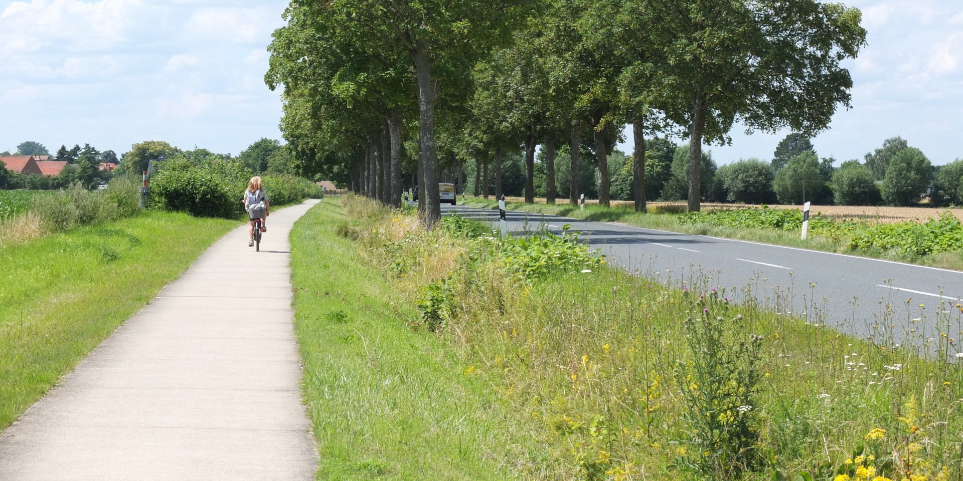 Berg-Ahorn-Allee „An der Schleuse“ bei Bolzum, © Niedersächsischer Heimatbund e.V. / Foto: Sylvie Lahmann