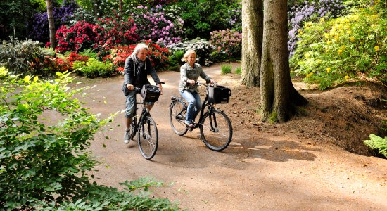 Radfahren in Bad Zwischenahn , © Touristik-Service Bad Zwischenahn 