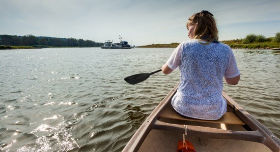 Mit dem Kanu auf der Elbe unterwegs, © Markus Tiemann