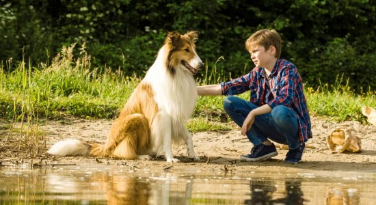 Filmszene aus Lassie - Eine abenteuerliche Reise, © Warner Brothers Deutschland