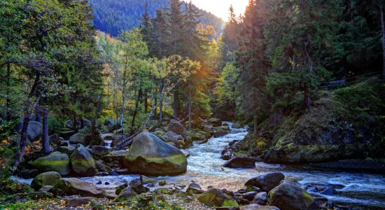 Oker im Okertal bei Goslar, © Huber Images