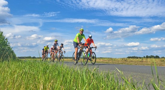 Rennradfahrer auf der Südschleife, © Touristikverband LK ROW, Lizenz CC BY SA