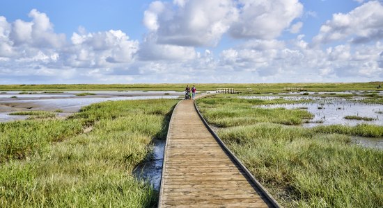 Steg Langwarder Groden , © Florian Trykowski, floriantrykowski.de