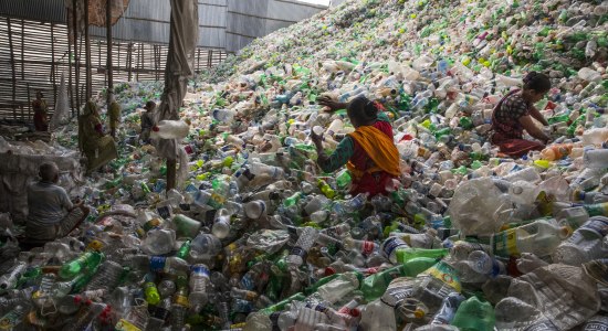 In einem Meer von Plastik, © National Geographic - Randy Olson