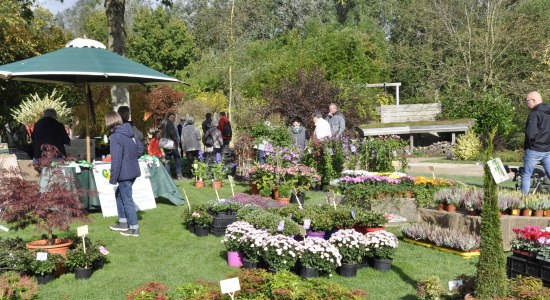 Herbstmarkt im Park der Gärten, © Park der Gärten