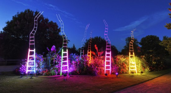 Lichtzauber im Park 2022, © Park der Gärten 