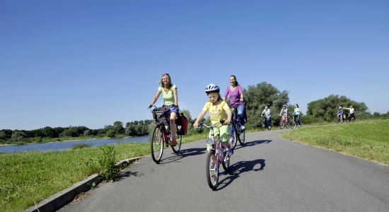 Mit der ganzen Familie auf Fahrrädern an der Elbe bei Bleckede unterwegs, © Harbeck/Photocompany