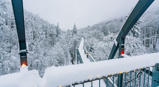 Winter auf dem Baumwipfelpfad Harz, © Nordstadtlicht, Baumwipfelpfad Harz