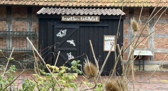 Neue Insekten-Station, © Erlebnis-Zoo Hannover