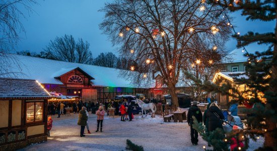 Adventsmarkt im Gestüt, © HarzVenture, Nordtstadtlicht