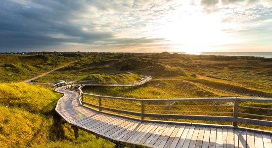 Bohlenweg durch die Dünen auf Norderney, © Janis Meyer