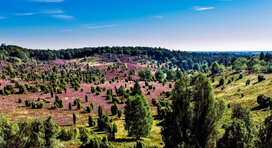 Totengrund Lüneburger Heide, © Lüneburger Heide GmbH