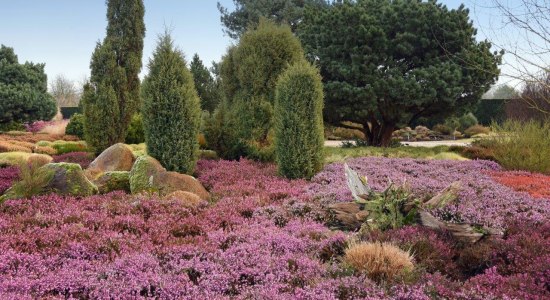 Winterheide , © Park der Gärten/ Hans Jürgen Zietz