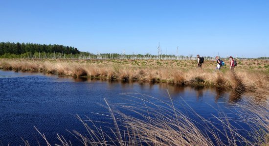 Naturschutzgebiet Theikenmeer, © Emsland Tourismus GmbH