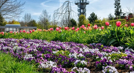 Saisoneröffnung im Park der Gärten, © Hans Jürgen Zietz 