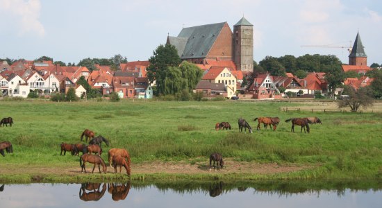 Reiterstadt Verden mit vielen Angeboten rund ums Pferd, © Mittelweser-Touristik GmbH