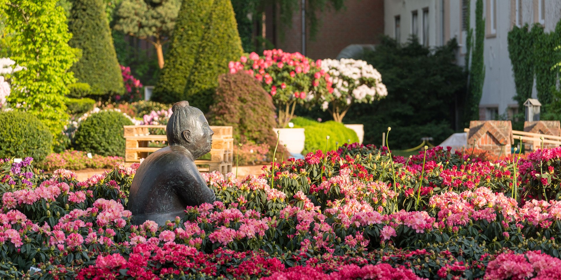 Rhodo, © Touristik Westerstede e.V.