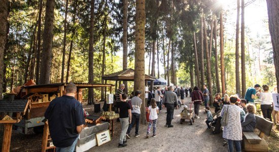 Schlendern und stöbern im Wildpark, © Wildpark Müden GmbH