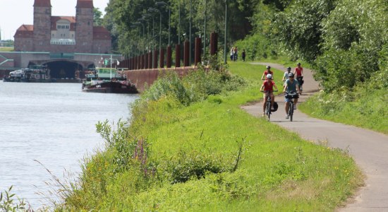 Das Radlerparadies Mittelweser bietet neben dem Weser-Radweg ein ausgeschildertes Radwegentz mit mehr als 40 Tagesrundtouren, © Mittelweser-Touristik GmbH