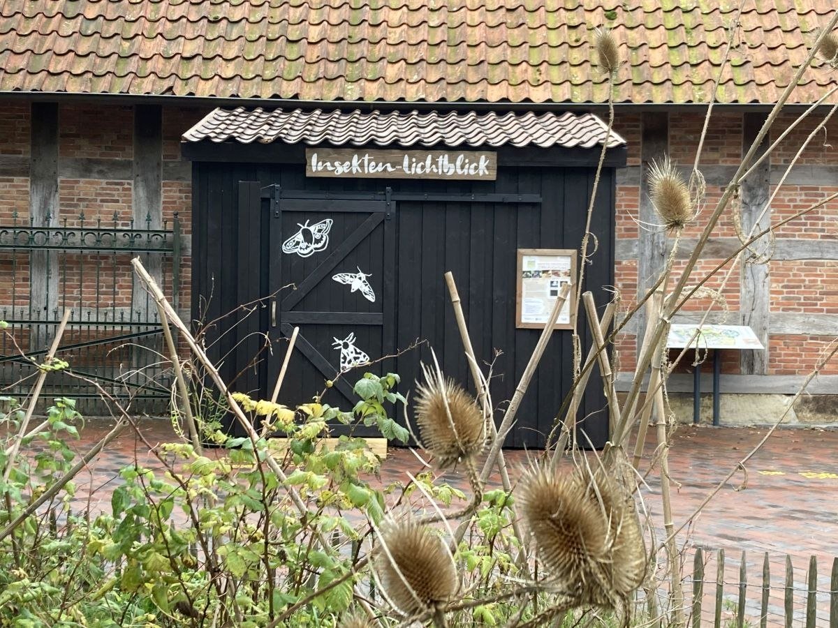 Neue Insekten-Station, © Erlebnis-Zoo Hannover